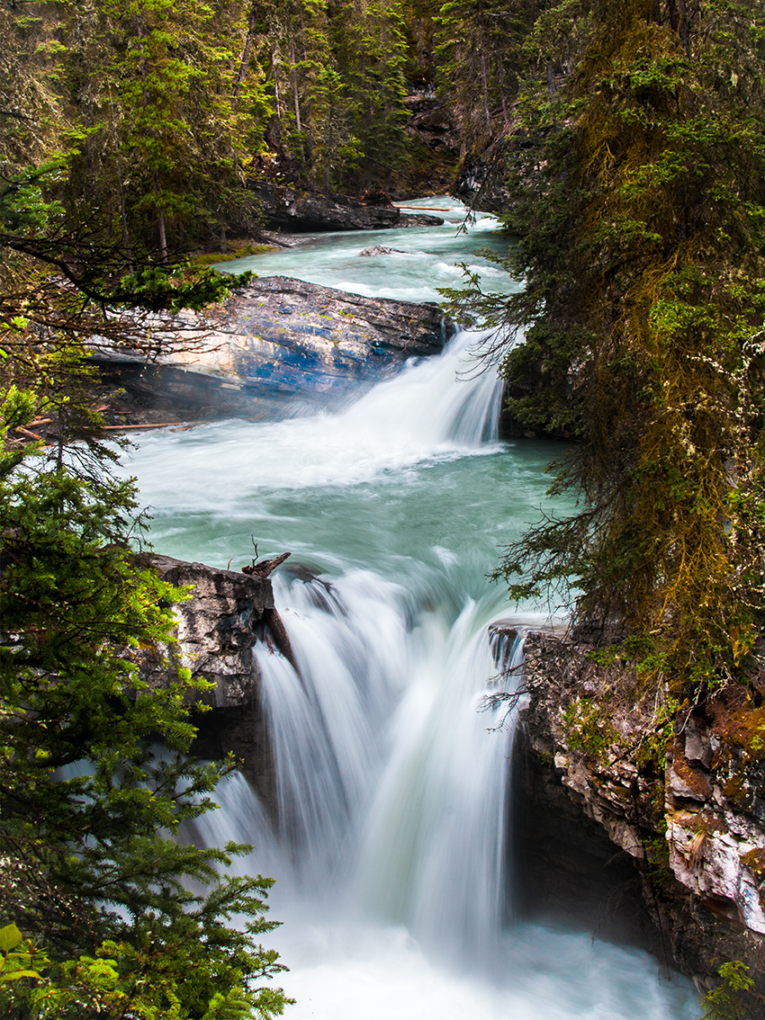 fotolienzo Cascada y Bosque