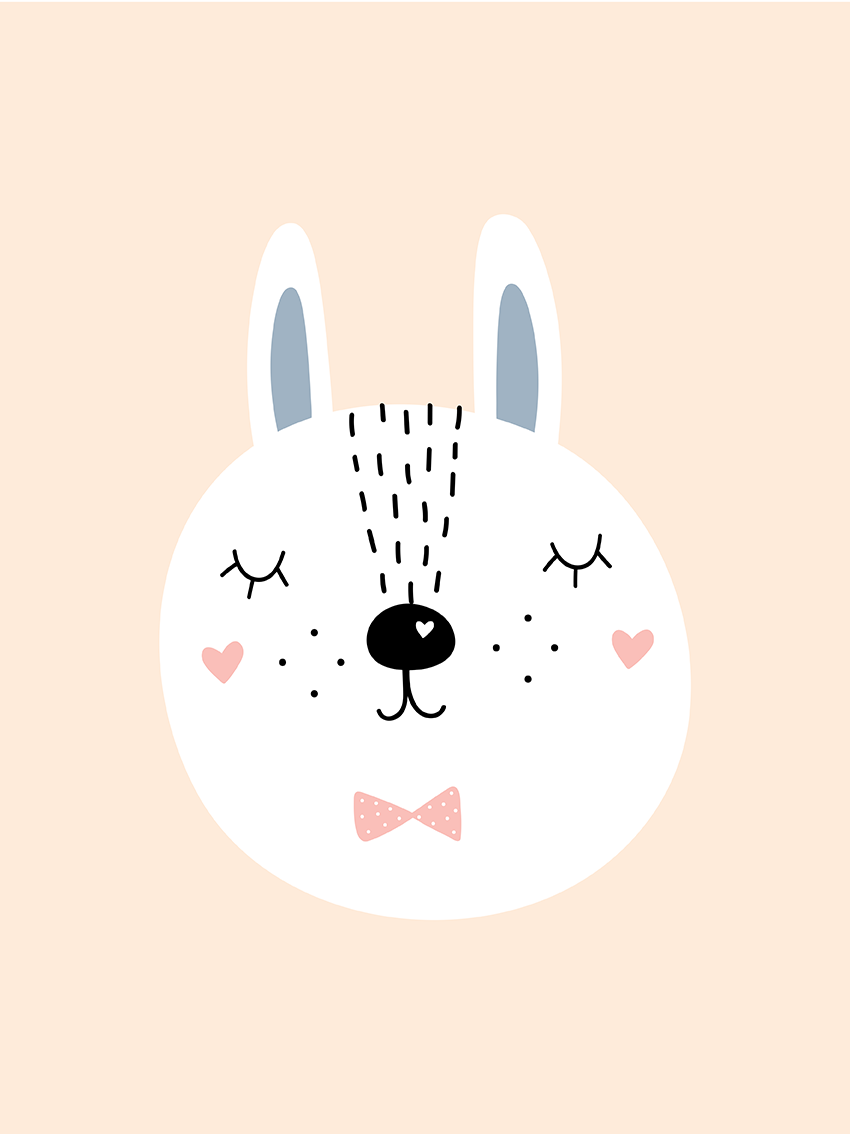 lamina Cute Rabbit