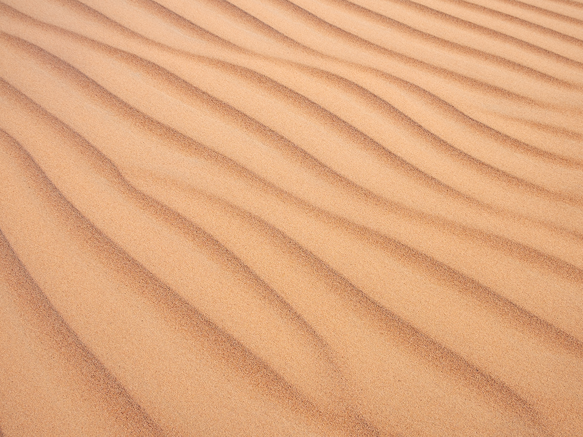 lamina Dunas del Desierto