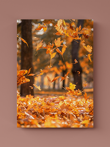 fotolienzo hojas otoño