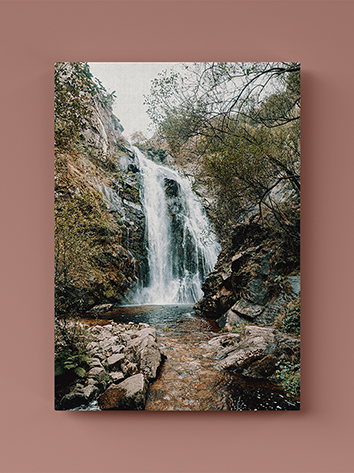 fotolienzo cascada en bosque