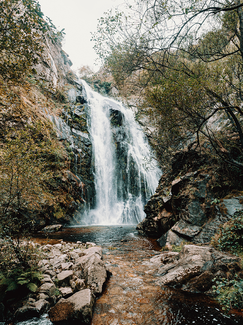 fotolienzo Cascada y Bosque