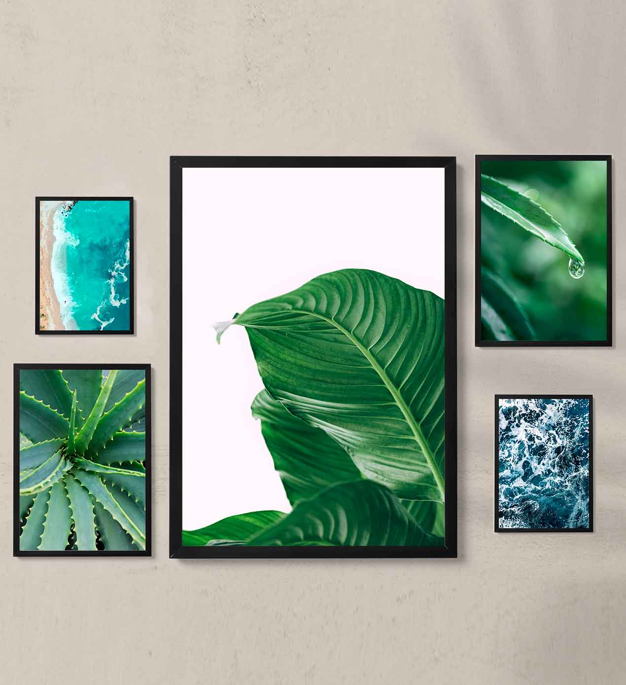 pack 5 láminas decorativas tema naturaleza